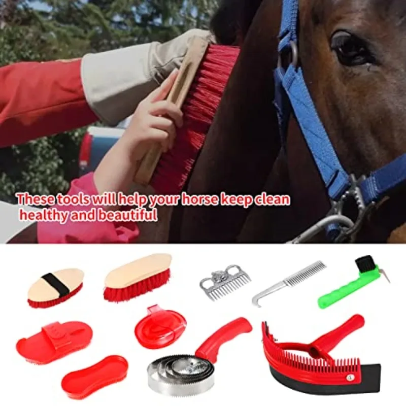 Nuovo set di strumenti per toelettatura per cavalli Kit di pulizia Pettine Spazzola per pulizia animali domestici Kit pettine per coda per toelettatura curry in acciaio inossidabile Scrubber