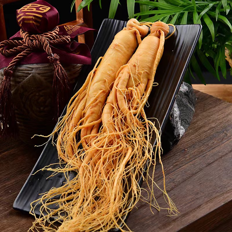 High-quality Changbai Mountain Understory Mountain Ginseng Simulation Ginseng Model Home Ornament