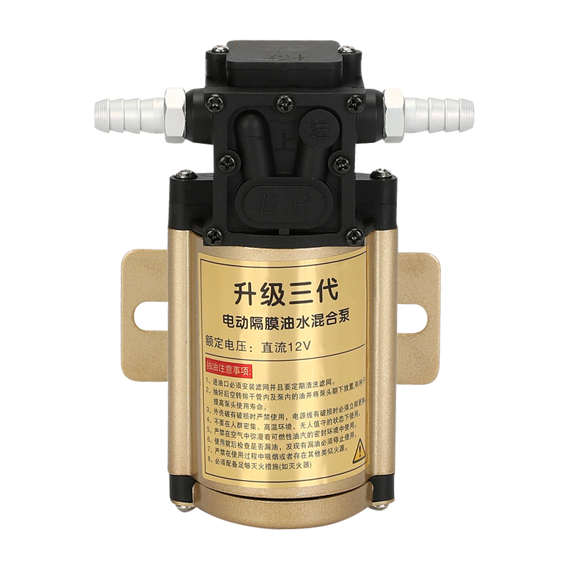 5 l/min 12 V DC Benzin-Benzinpumpe, Kraftstofftransferpumpen für Benzin, Diesel, Öl, Wasser, 12 Volt, 24 V, Industriequalität