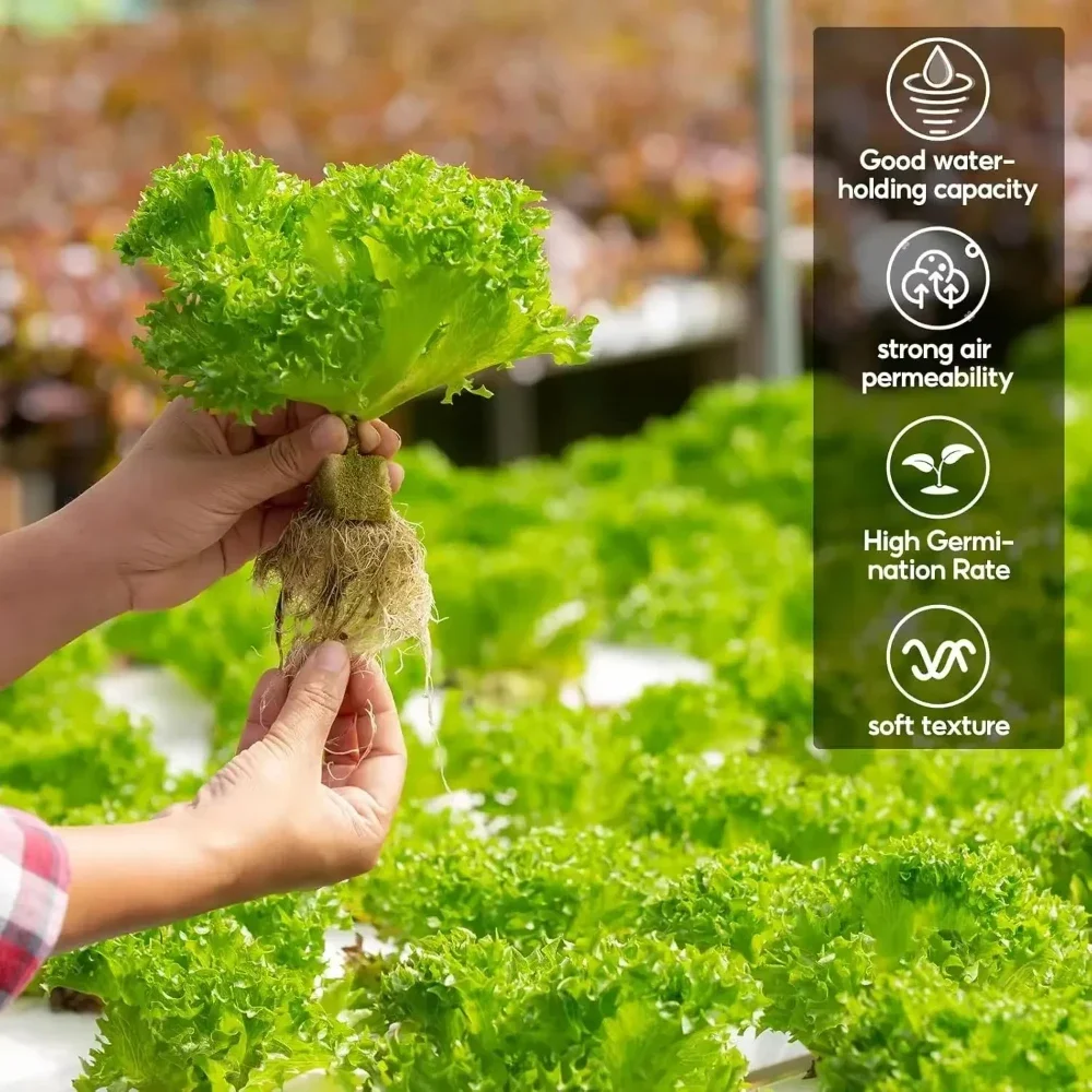 Seedling Grow Cubes Vegetable Planting Cube Stonewool Soilless Hydroponics Plant Seedling Growing Plugs Sponge Block Garden Tool