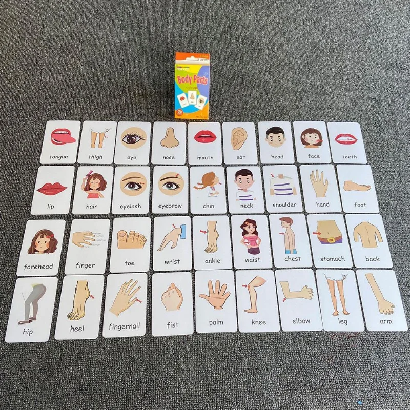 36pcs 어린이인지 카드 신체 부위 동물 과일 양면 Flashcards 몬테소리 베이비 키즈 조기 교육 장난감 선물