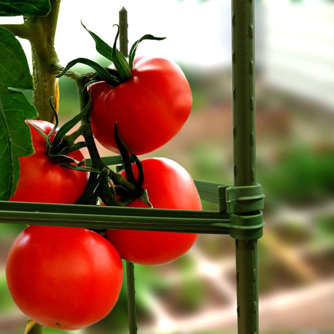 金属製の吊るすケージ,庭の装飾,家,登山の木のサポート,木の板,非接触,40cm, 25パック