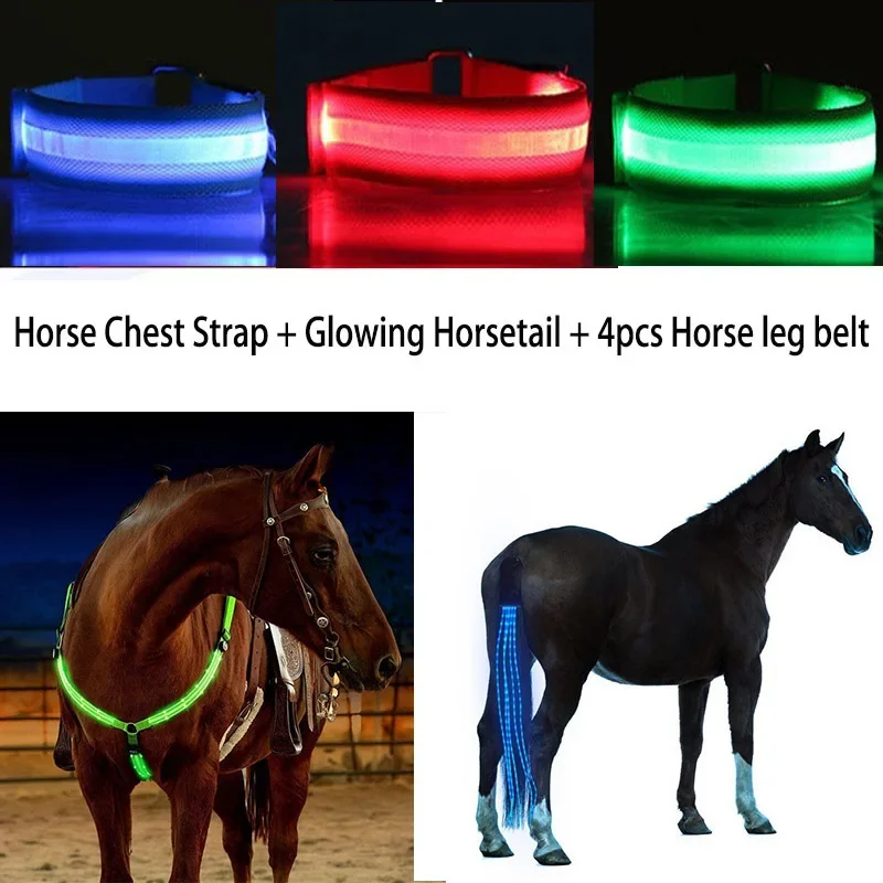 3Pcs LED Horse Legs Chest Tails cinghie Horsing Riding luci notturne equestri luminose attrezzature equestri per cavalli visibili