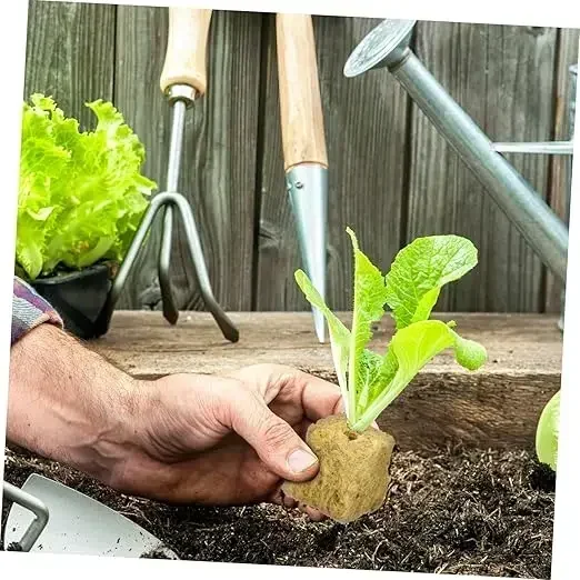 ฟองน้ําบล็อกStarterปลั๊กRock Wool Growก้อนSeed Startersปลูกก้อนHydroponicsตัดพืชPropagation Grow Supply