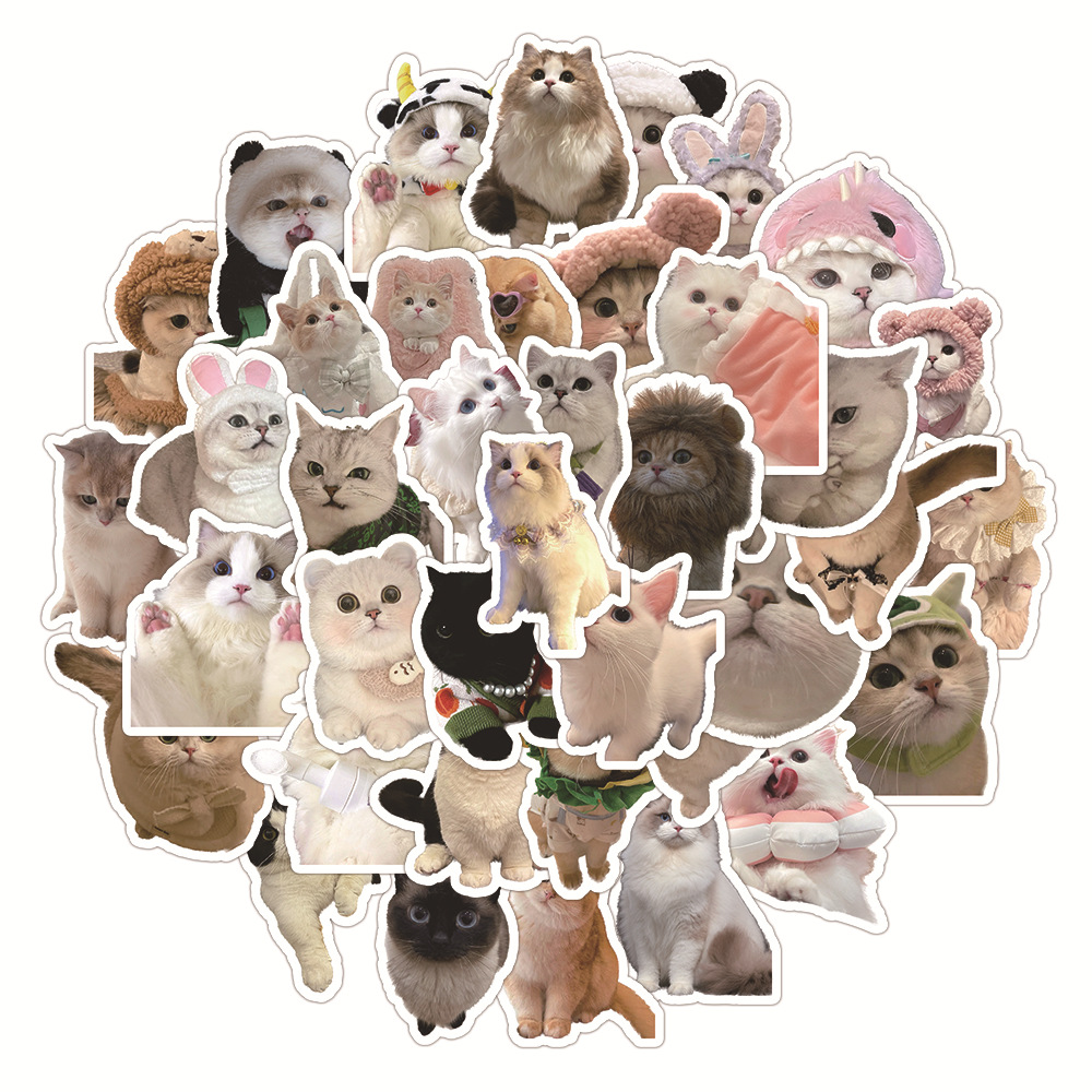 สติกเกอร์กราฟฟิตีรูปแมวเหมือนจริง60ชิ้นเคสโทรศัพท์ลายแมวน่ารักสติกเกอร์ตกแต่ง DIY