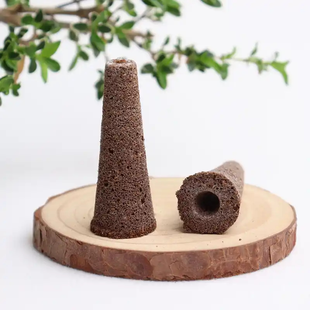 Rapid Rooting Succulent Plant Bulbs Cultivation Stand Echeveria Agavoides Lemaire Soilless Nature Plants Flowers Seedling Soil