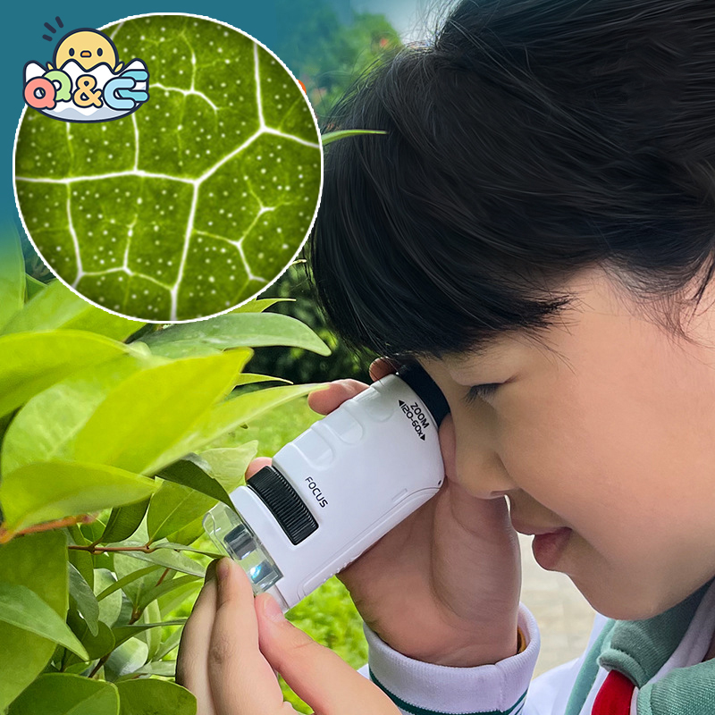 Experimento científico de biosciencia, Kit de microscopio para niños 120X, espécimen biológico, rompecabezas portátil, juguetes educativos para niños