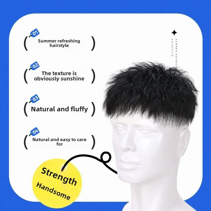 男性用人工毛ウィッグ,天然毛100%,耐久性