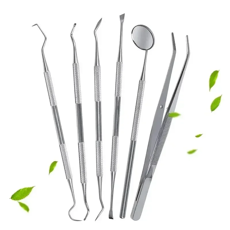 Herramientas bucales de dentista de acero inoxidable, limpieza de hilo dental, eliminación de sarro, fácil de limpiar, no es fácil de romper, Kit de cuidado de espejo Dental