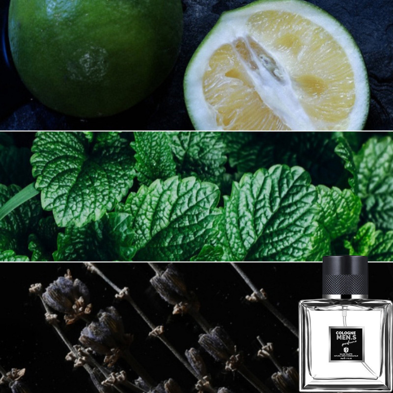 น้ําหอมผู้ชายแท้สีน้ําเงิน ดอกไม้สด ผลไม้และต้นไม้ กลิ่นส้ม โคโลญจน์ติดทนนาน Charming Eau De Toilette