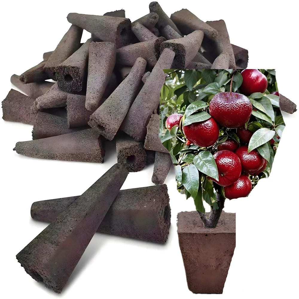 Perfume Lemon Cultivation Bracket Blood Orange Soilless Cultivate Plants Sponge Nature Fruits Seedling Stand High Survival Rate