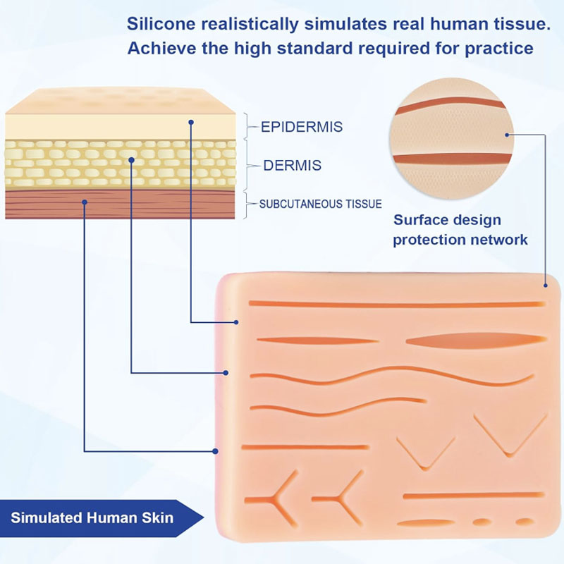 Modello di sutura traumatico per pratica di sutura Modello di sutura traumatica con ferita in silicone Riutilizzabile per sutura chirurgica Annodatura Modello didattico in silicone