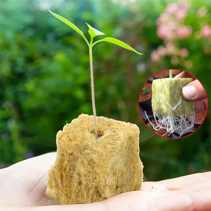 50/100/300pcs 25x25mm Stonewool Hydroponic Grow Media Cubes Plant Cubes Soilless Substrate Seeded Rock Wool Plug Seedling Block