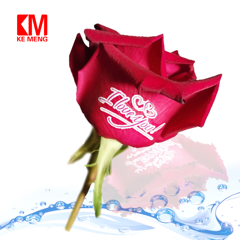 Papel de transferencia de agua transparente para inyección de tinta, papel blanco impreso, papel para calcomanías con tobogán acuático