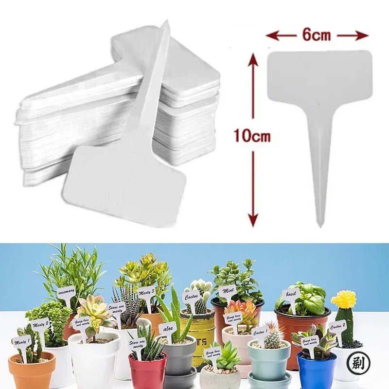 50pcs T-Type Plant Label Markers กันน้ํา PVC สวนพืชการจําแนก Sorting ป้ายหมวดหมู่พืชเนอสเซอรี่เครื่องหมายป้าย
