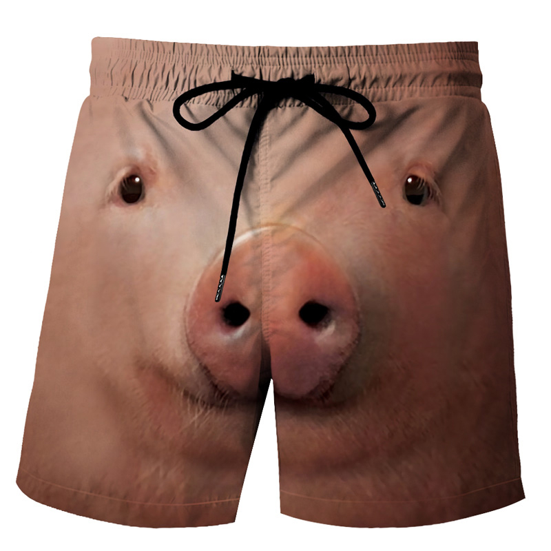 Short de plage avec image de canard drôle pour hommes, short de planche avec impression d'animaux en 3D, maillot de bain de sport, de gymnastique, de glace fraîche