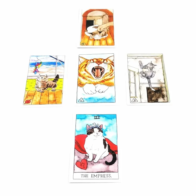 ไพ่ทาโรต์แมว: 78 ใบ