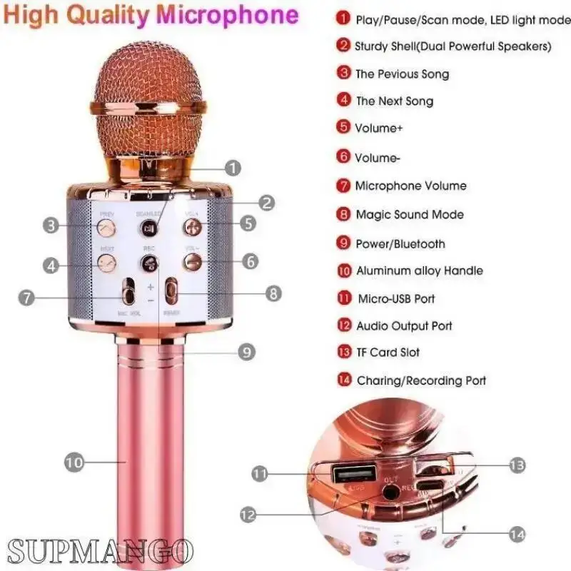 Professional Handheld Wireless Karaoke Microphone USB Speaker Microphone for Kids Music Player Singing Recorder KTV