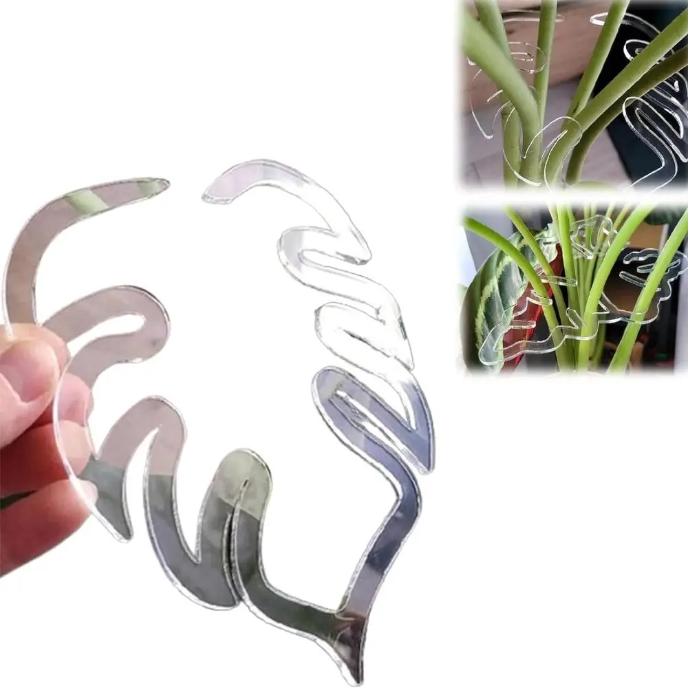 Morsetto in bambù con guscio di tartaruga Supporto riutilizzabile per stelo di piante in plastica trasparente per piante da interno ed esterno per gli amanti dei fiori