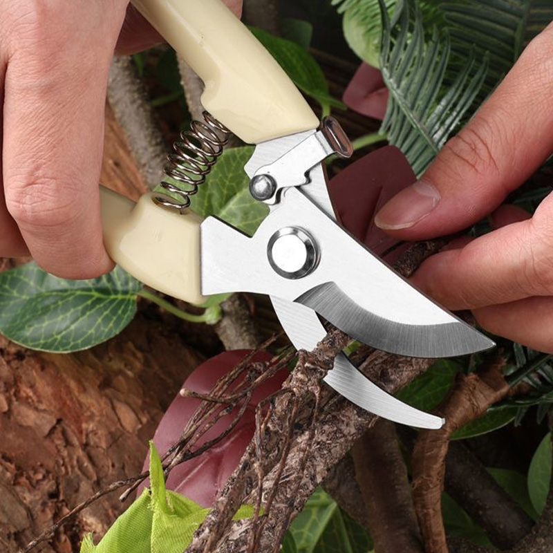 Pruning Knives Fruit Tree Garden Branch Cutting Household Grafting Tools Stainless Steel Scissors for Flower Cutting Arrangement