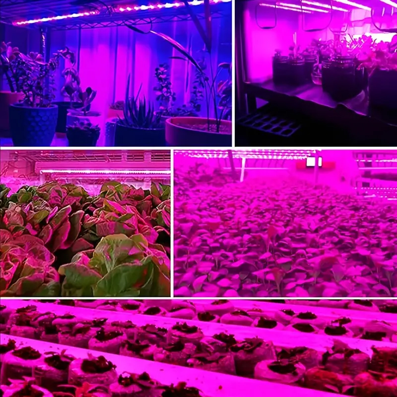 USB-voeding volledig spectrum paarse plantenlamp riem planten bloemen en groenten bevorderen groei, draagbaar en eenvoudig te installeren