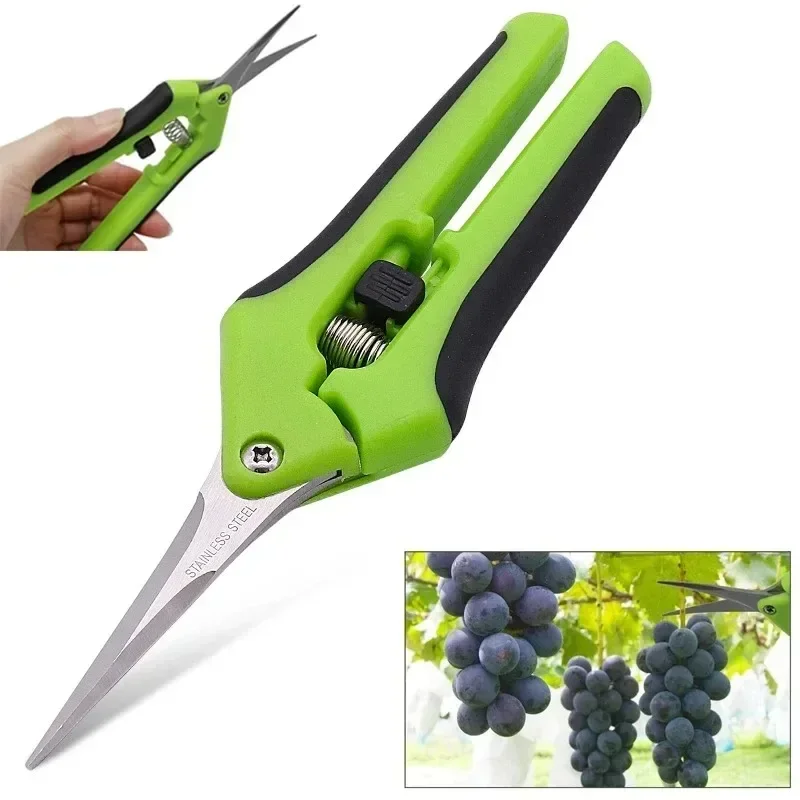 6,5-Zoll-Gartenschere, Handschere, Gartenschere, Trimmschere mit geradem Ellenbogen, Edelstahlklingen für Pflanzen