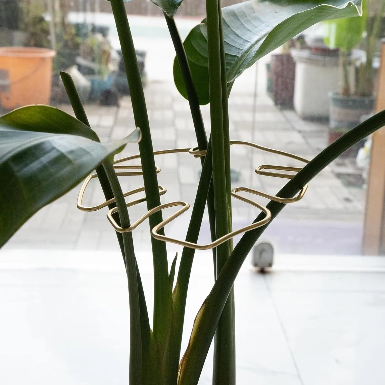 Monstera Stabilizer Turtle Shell ชุดแคลมป์ไม้ไผ่สําหรับพืชปีนเขา รองรับการเจริญเติบโตที่ดีต่อสุขภาพ รองรับพืชสวนโลหะ