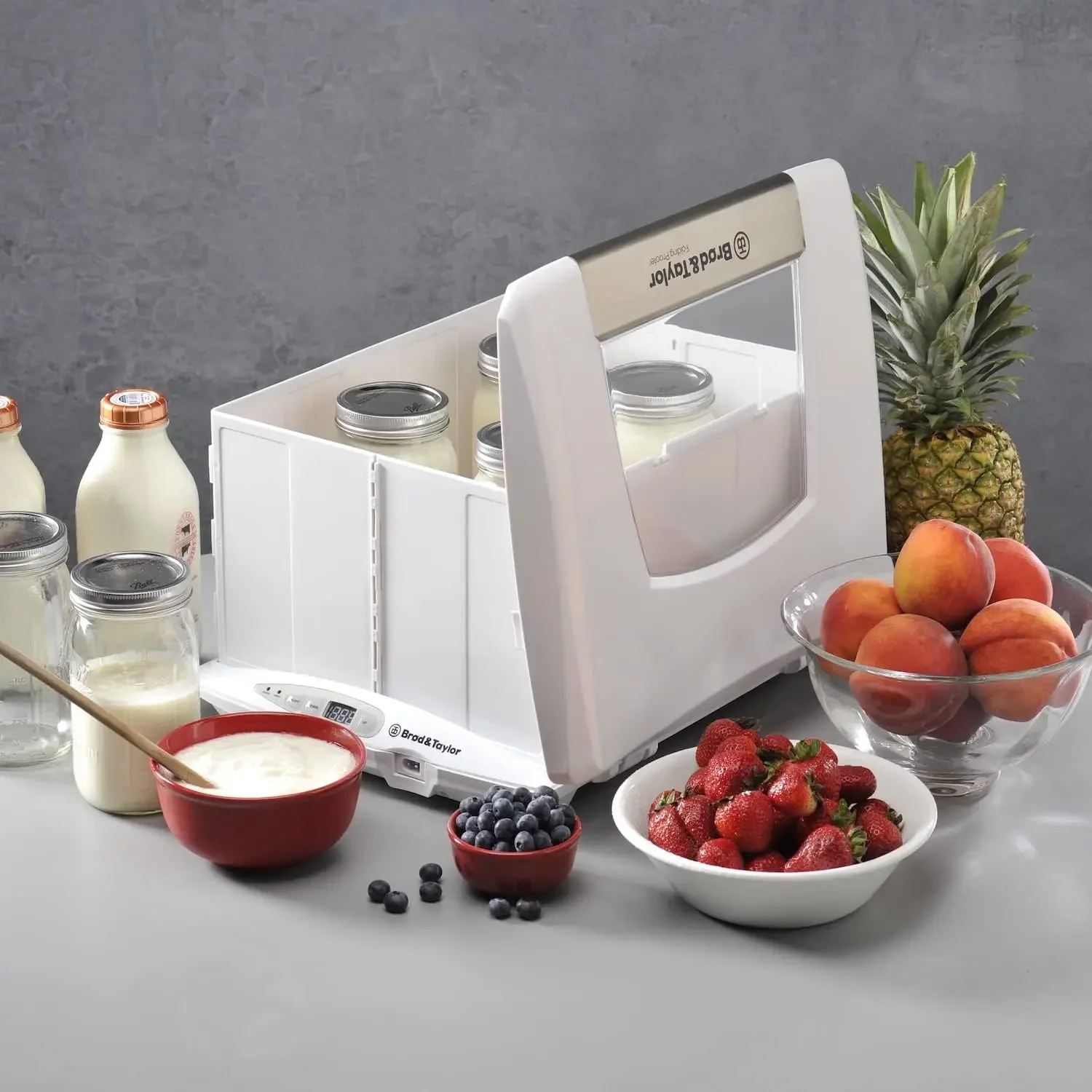 Brod & Taylor Folding Proofer & Slow Cooker (Proofer)NEW