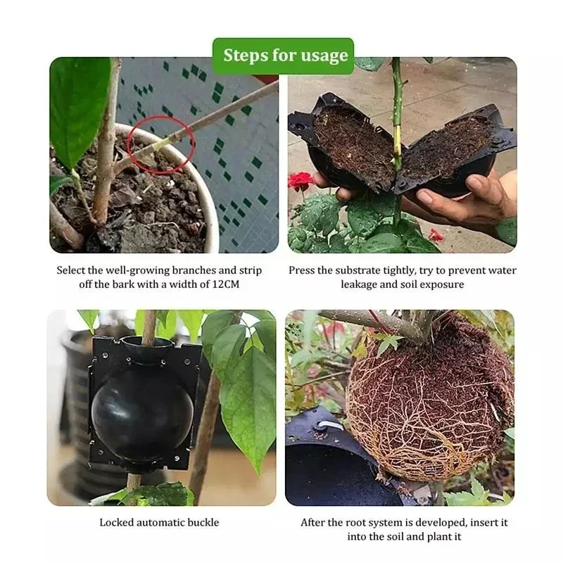 10 ชิ้นReusableรากพืชปลูกกล่องตัดGrafting Rooting Ball Garden Rooting Propagation Ball S Breedingอุปกรณ์