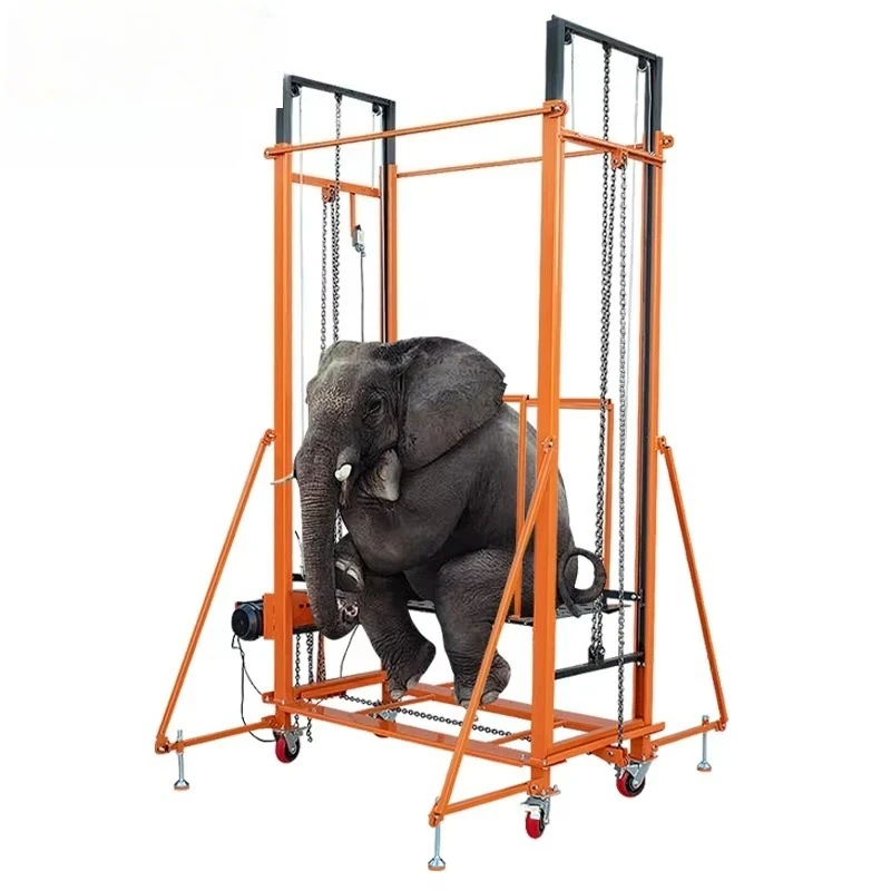 Iron Elevator Scaffolding Motorised Electric Building Scaffolding Adjust Scaffold for Constructions