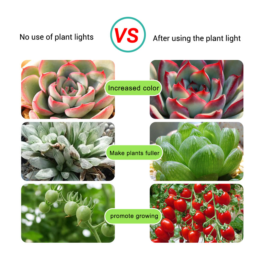 USB Full Spectrum LED Planta Crescer Luz Tira, Phyto Lâmpada, Vegetal, Flor, Mudas, Barraca, DC, 5V, 2m, 3m
