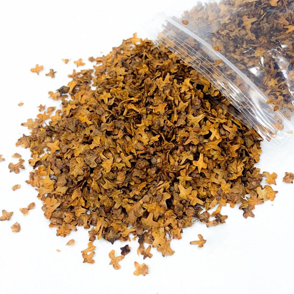 手作りの装飾,33mlのマイクロランドスケープテーブル,グラス,ミニチュアリーフ,盆栽のミニチュアモデル,庭の装飾