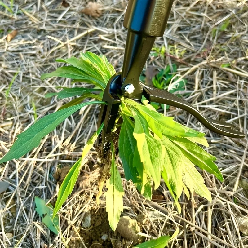 1pc 4-Claw Weed Tool Head - Professional Root Extractor for Tough Garden Weeds, Ergonomic Yard Maintenance Solution