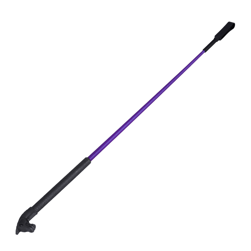 Chicote roxo do cavalo, equipamento equestre, vermelho, verde, cor azul