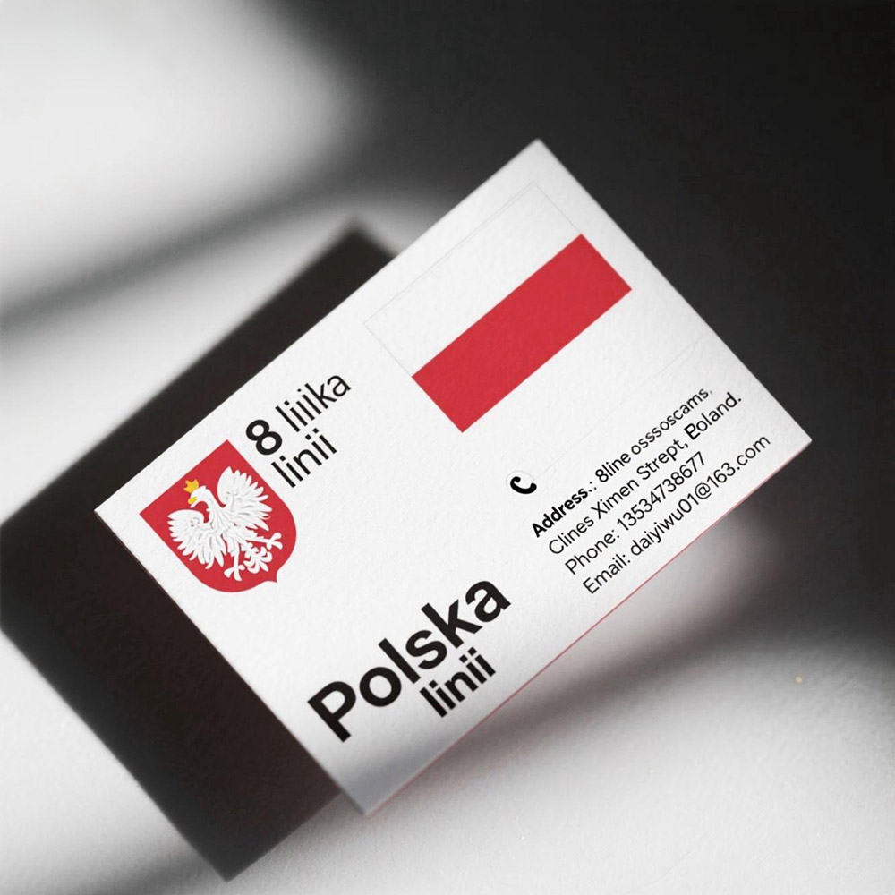 2025 8 Linii-kaart Europa Polska 8 Linii Aangepaste Europa ccam Clines Polen Ierland Slovensko 8-lijns Duitse Oscam snelle kaart