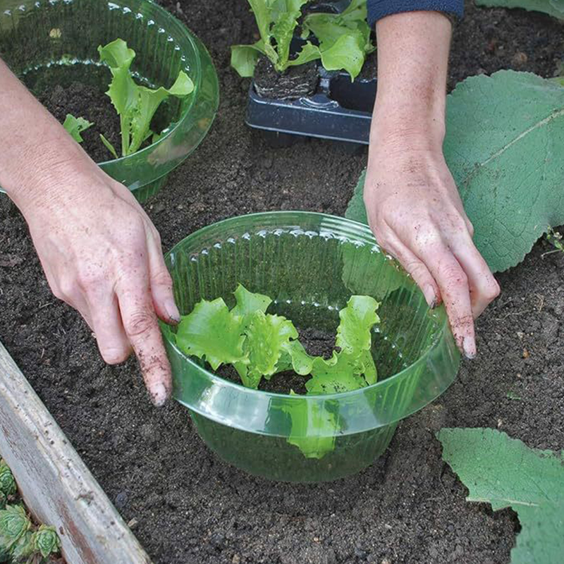 5/10/15/20 piezas collares de caracol Slug collares de protección de plantas cubiertas de verduras protector de caracol de plantas agrícolas reutilizable ahorrar agua