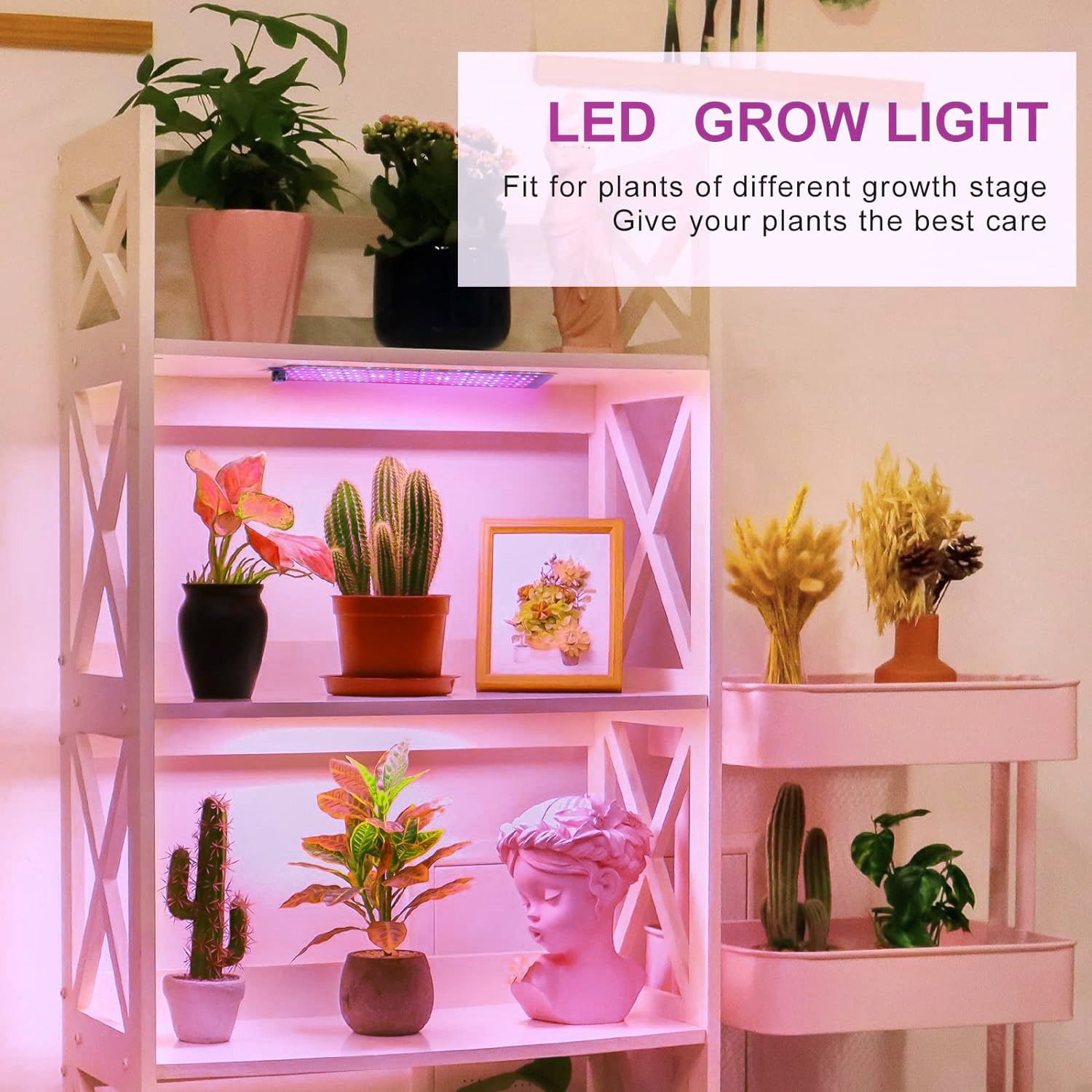 Full Spectrum Plant Grow Light LED Auto On/Off Timer 3/6/12H 3 Lighting Modes 6 Dimmable Level 12V Growing Lamp for Indoor Plant
