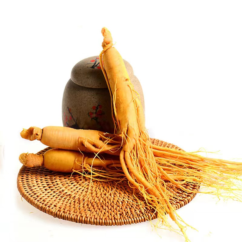 High-quality Changbai Mountain Understory Mountain Ginseng Simulation Ginseng Model Home Ornament