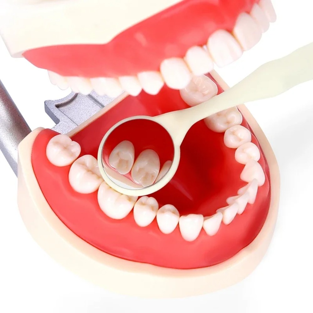 Ag 10 pçs/caixa clareamento dental dental dupla face boca espelhos refletores de exame de superfície com alça