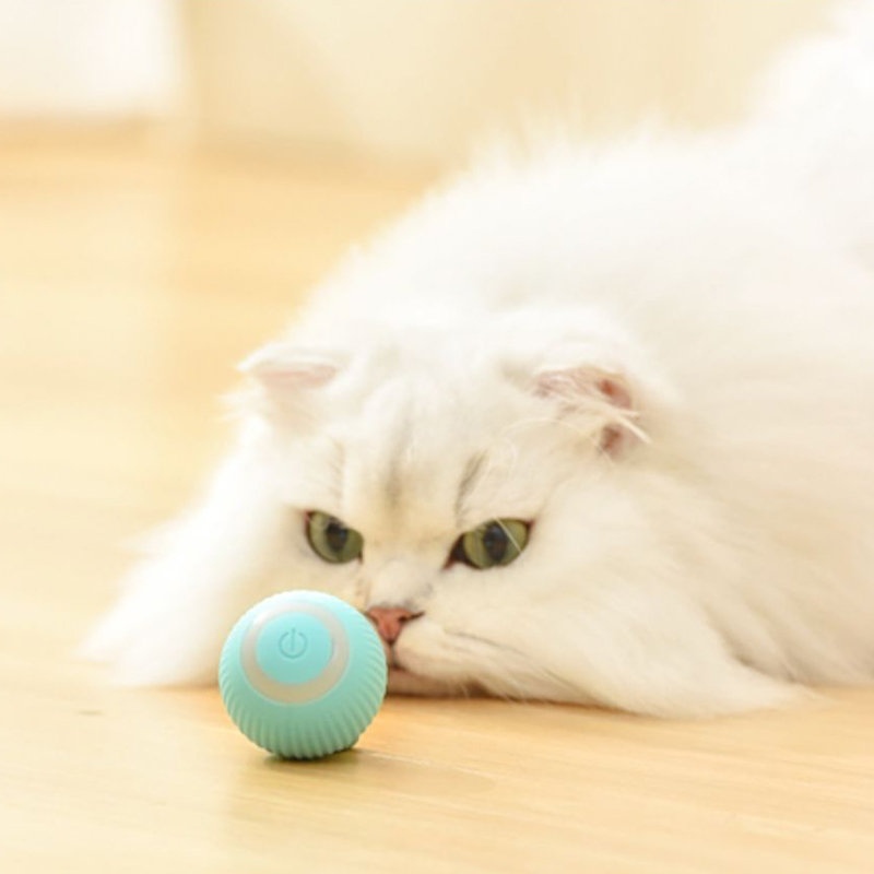 Automatic Moving Cats Toy Interactive Ball Rechargeable Rolling Electric Ball Home Pet Accessories Things for Supplies
