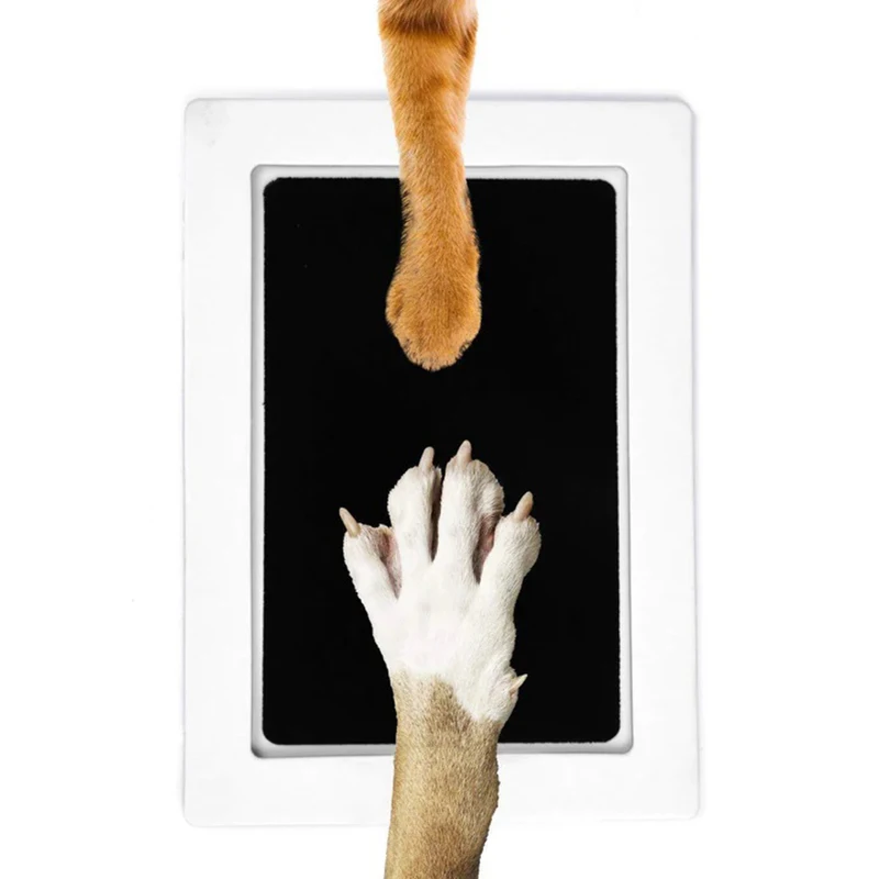 Kit de tinta para impressão de pata de cachorro e gato, seguro, não tóxico, pegadas de bebê, chuveiro recém-nascido, fácil, faça você mesmo, toque limpo, sem tinta, lembrança para animais de estimação