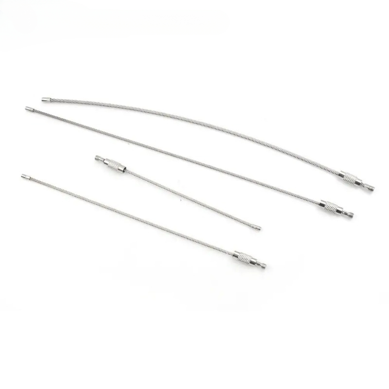 10 Stück Drahtseil Schlüsselanhänger Edelstahl Draht Schlüsselanhänger Karabiner Kabel Schlüsselanhänger Outdoor Wandern