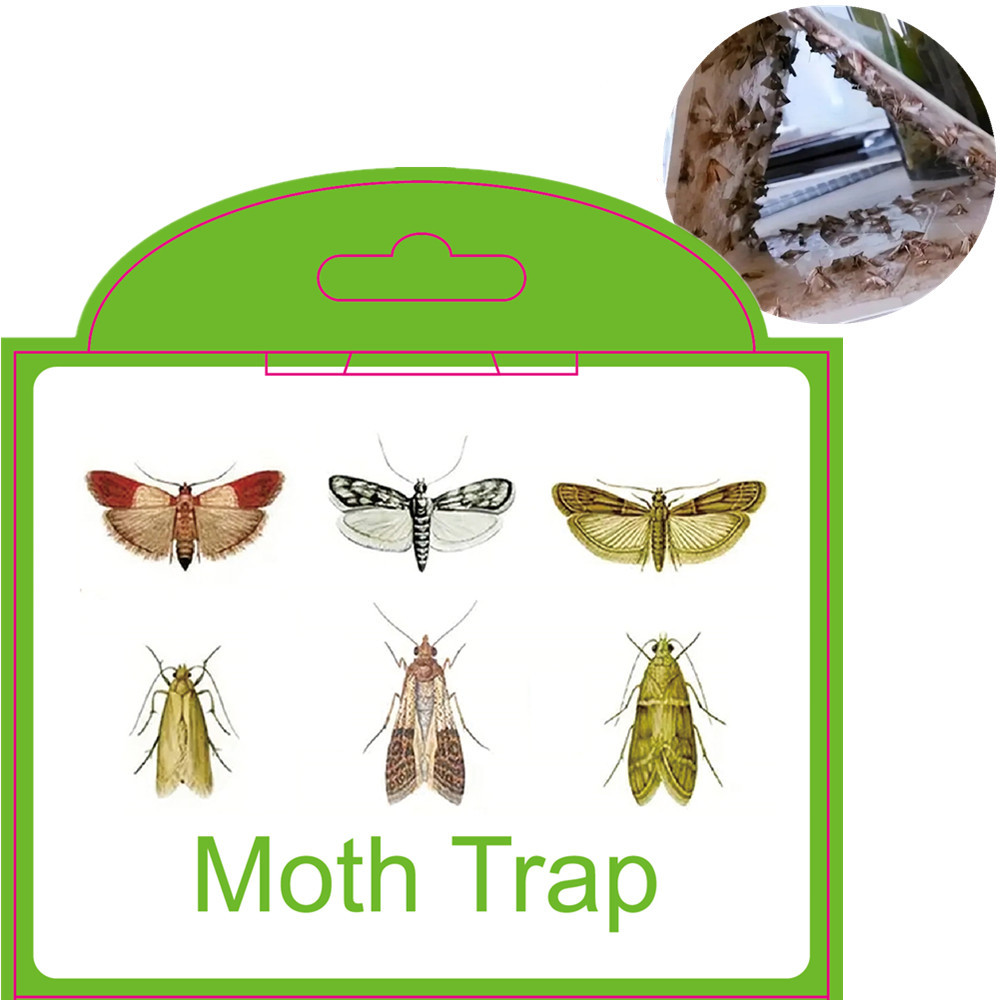 SilentKing 6PCS Moths Traps Pantry Clothes Kitchen Food Home Garden Pest Control Moth Traps Pheromone Moths Sticker Moths Trap