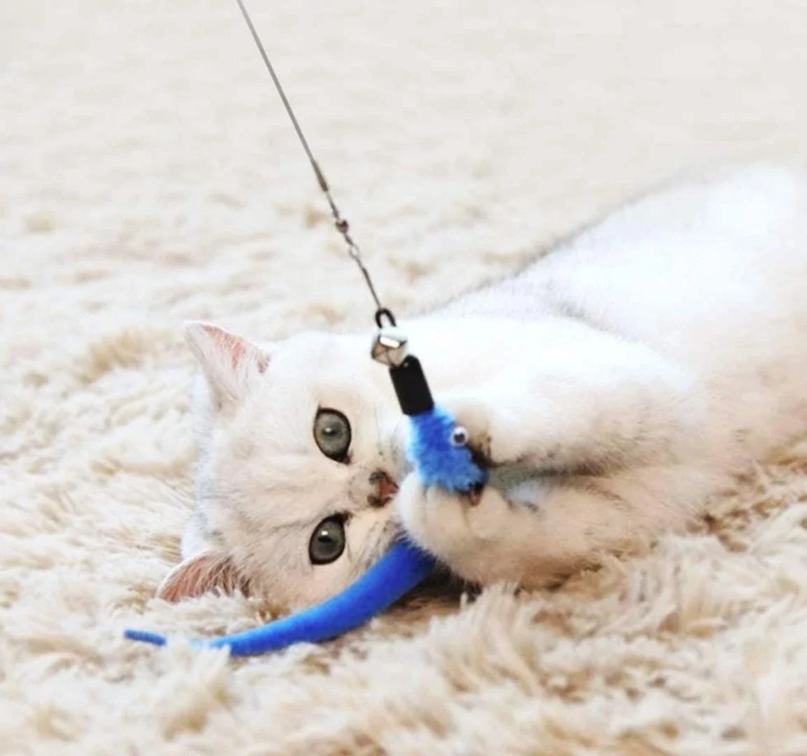 Juego de juguetes de plumas para gatos de repuesto, cabezal de repuesto de plumas, palo retráctil para gatos, productos para gatos, 11 Uds.