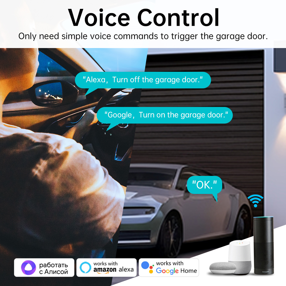Tuya Zigbee/WiFi Switch Modulo controller per apertura porta garage intelligente Il telecomando vocale funziona con Alexa Google Home Assistant