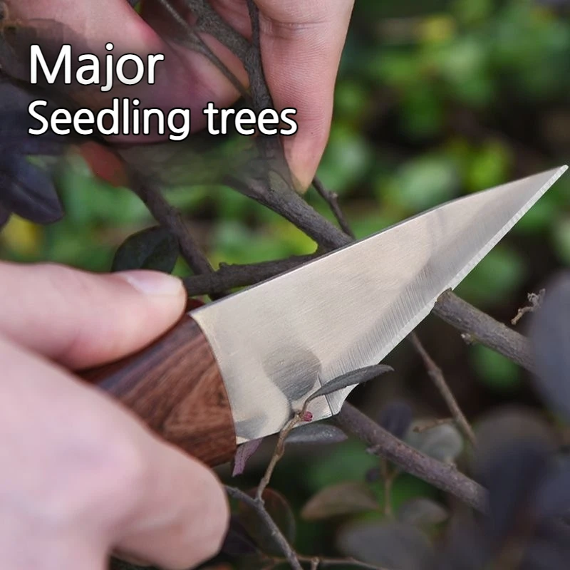 1 Set Sprout grafting knife for garden fruit trees, specialized tool for grafting fruit trees, For Grafting Branches,Super Sharp