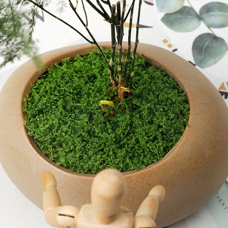 ca. 20 g künstliche Grünpflanzen, Polyester, Moosgras, Zuhause, Wohnzimmer, Garten, Dekoration, Mini-Landschaft, gefälschte Blumen, DIY-Handwerk