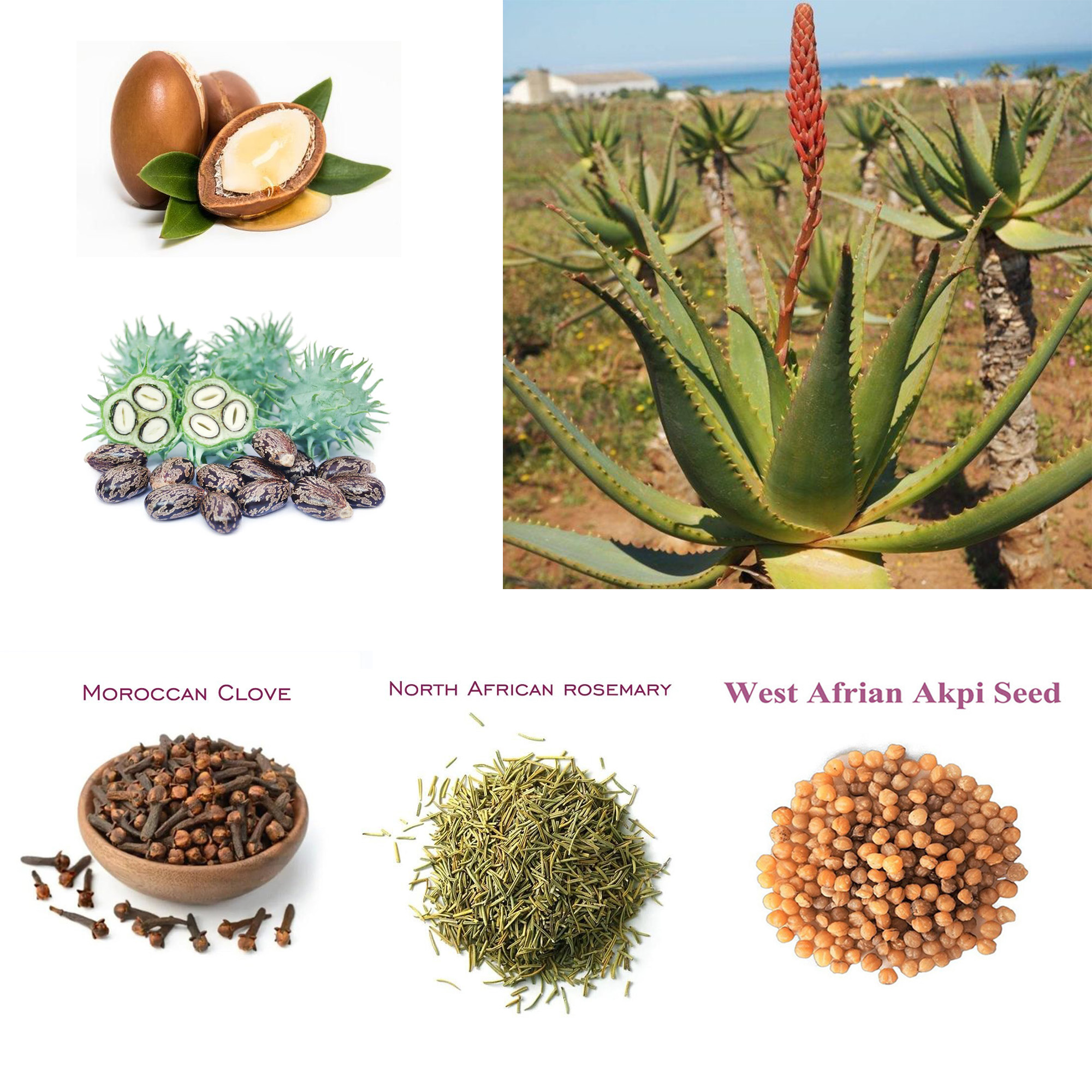 Aceite nutritivo para el cabello potente, tradicional, artesanal, para dar áfrica, cabello largo y natural