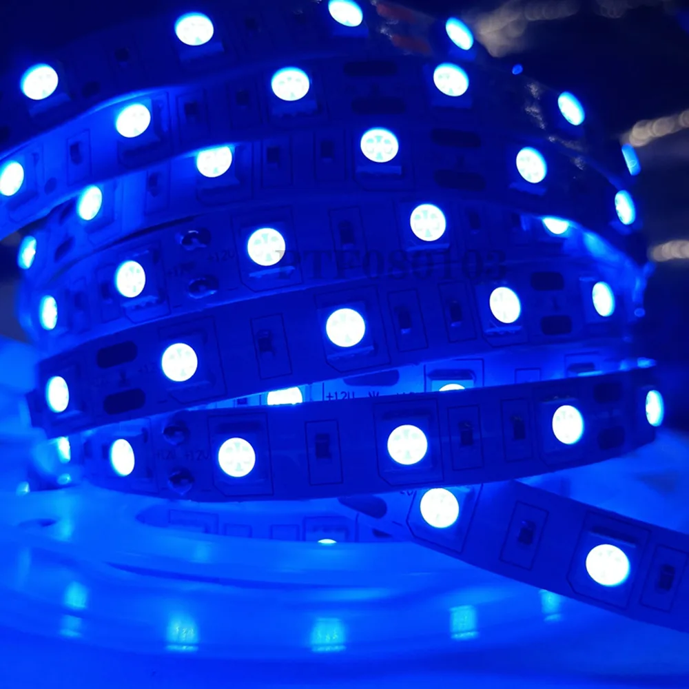 Striscia LED 5050 DC 12V 24V RGB Bianco caldo 5 metri Impermeabile Flessibile Striscia di luce 60LED/Cinta pigmentata Luces Lampada Nastro Tv Retroilluminazione