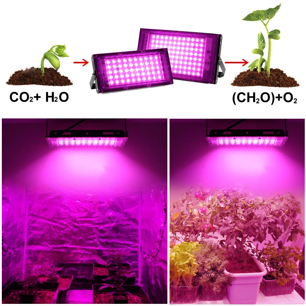 LED wachsen Licht Pflanze Hydro ponik Lampe LED Voll spektrum 220V LED Phyto lampen Licht Gewächshaus Samen Blume wachsen Beleuchtung 50W W